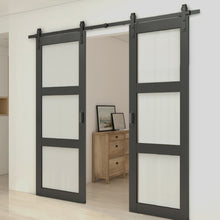 Load image into Gallery viewer, 3-Lite Tempered Frosted Glass Black Finished Composite Double Sliding Barn Door with Hardware Kit Handle