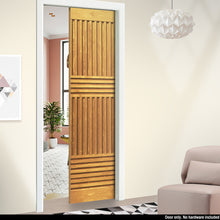 Load image into Gallery viewer, Brown pocket door.jpg