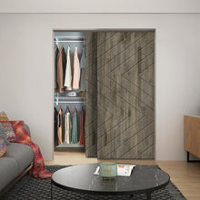 Load image into Gallery viewer, Paneled Hollow Core Solid Wood Double Closet Sliding Door Slabs