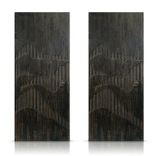 Load image into Gallery viewer, Paneled Hollow Core Solid Wood Double Closet Sliding Door Slabs