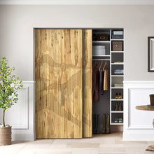 Load image into Gallery viewer, Paneled Hollow Core Solid Wood Double Closet Sliding Door Slabs
