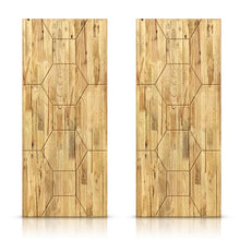 Load image into Gallery viewer, Paneled Hollow Core Solid Wood Double Closet Sliding Door Slabs