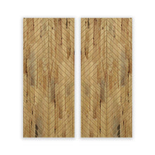 Load image into Gallery viewer, Paneled Hollow Core Solid Wood Double Closet Sliding Door Slabs