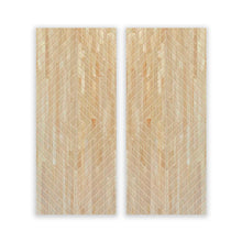 Load image into Gallery viewer, Paneled Hollow Core Solid Wood Double Closet Sliding Door Slabs